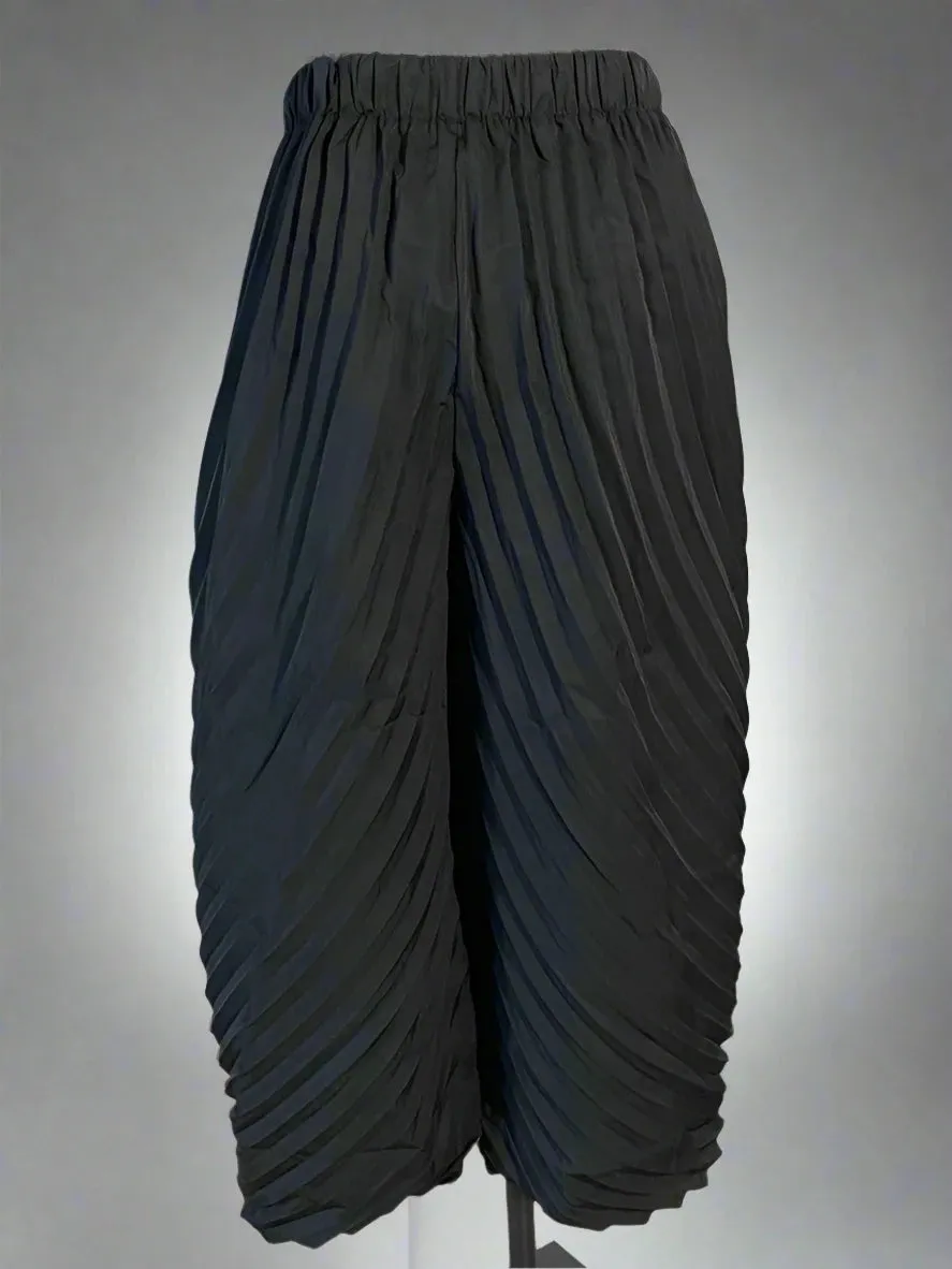 Pleated Design Trousers