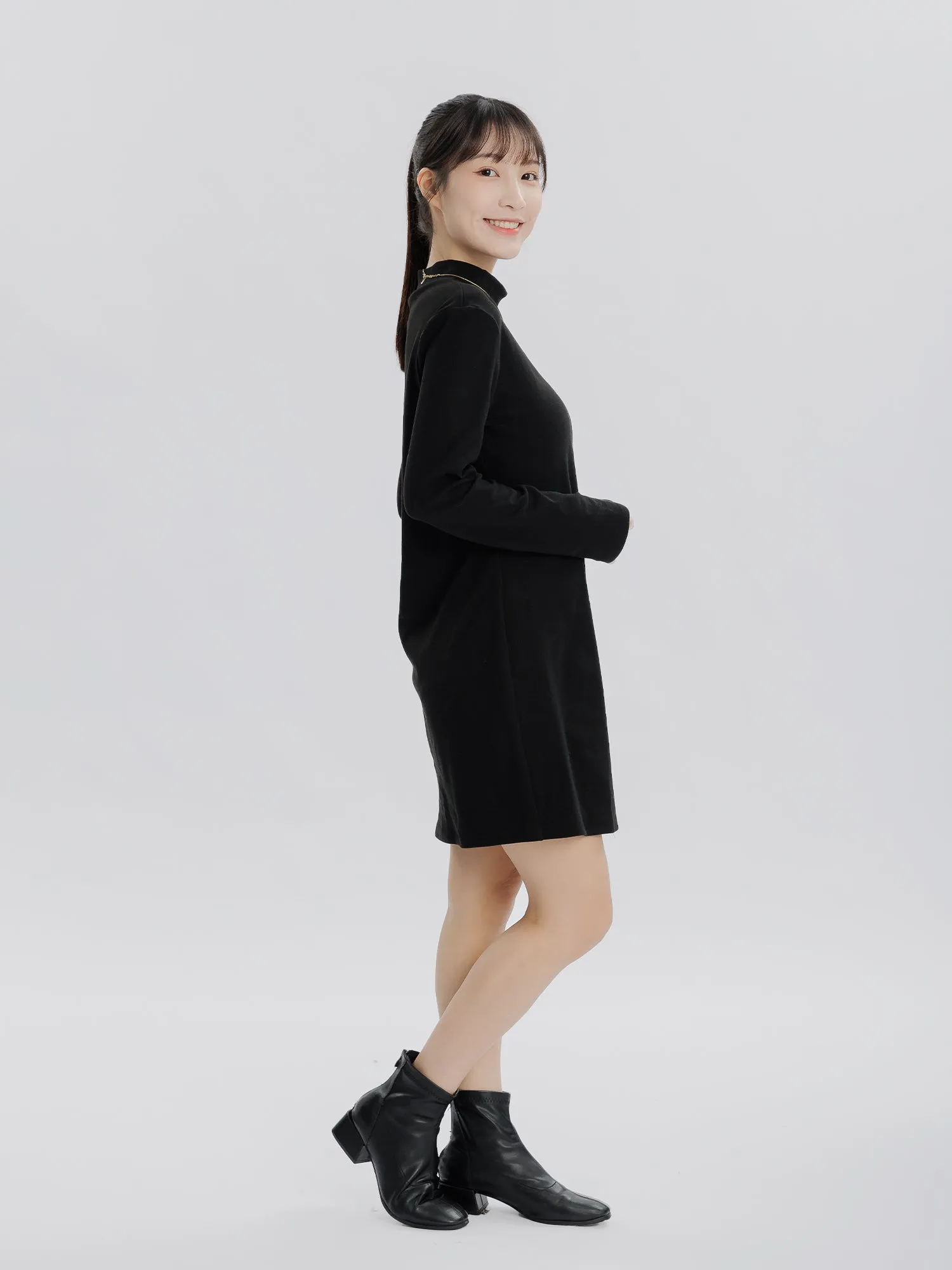 Reverie Long Sleeve Turtleneck Dress